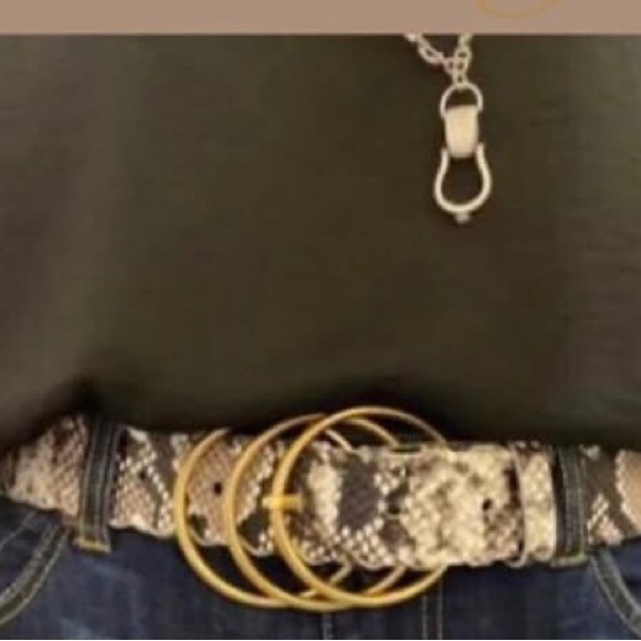 CAbi Serpent Belt Size M Gold Rings Buckle NWT - Picture 5 of 6